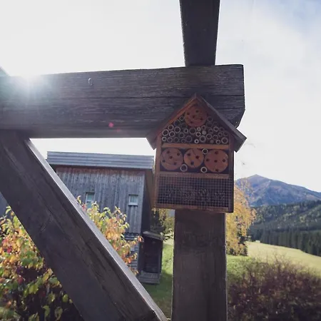 Ferienhaus - Dein Feriendomizil In Den Bergen *